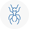 Ant Removals In Oswaldtwistle