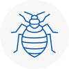 Bed Bug Extermination In Oswaldtwistle