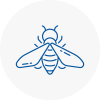 Bee Nest Removal Oswaldtwistle