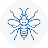 Oswaldtwistle Hornet Nest Removals