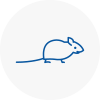 Mice Exterminators In Oswaldtwistle