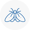 Moth Control Specialists In Oswaldtwistle