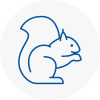 Oswaldtwistle Rodent Removals